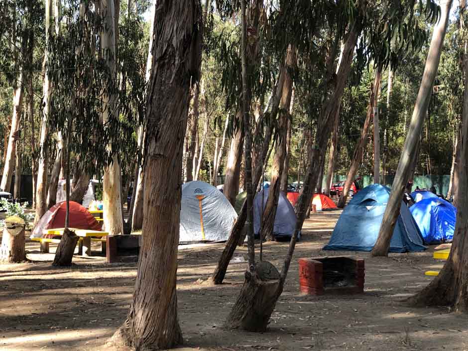 Camping